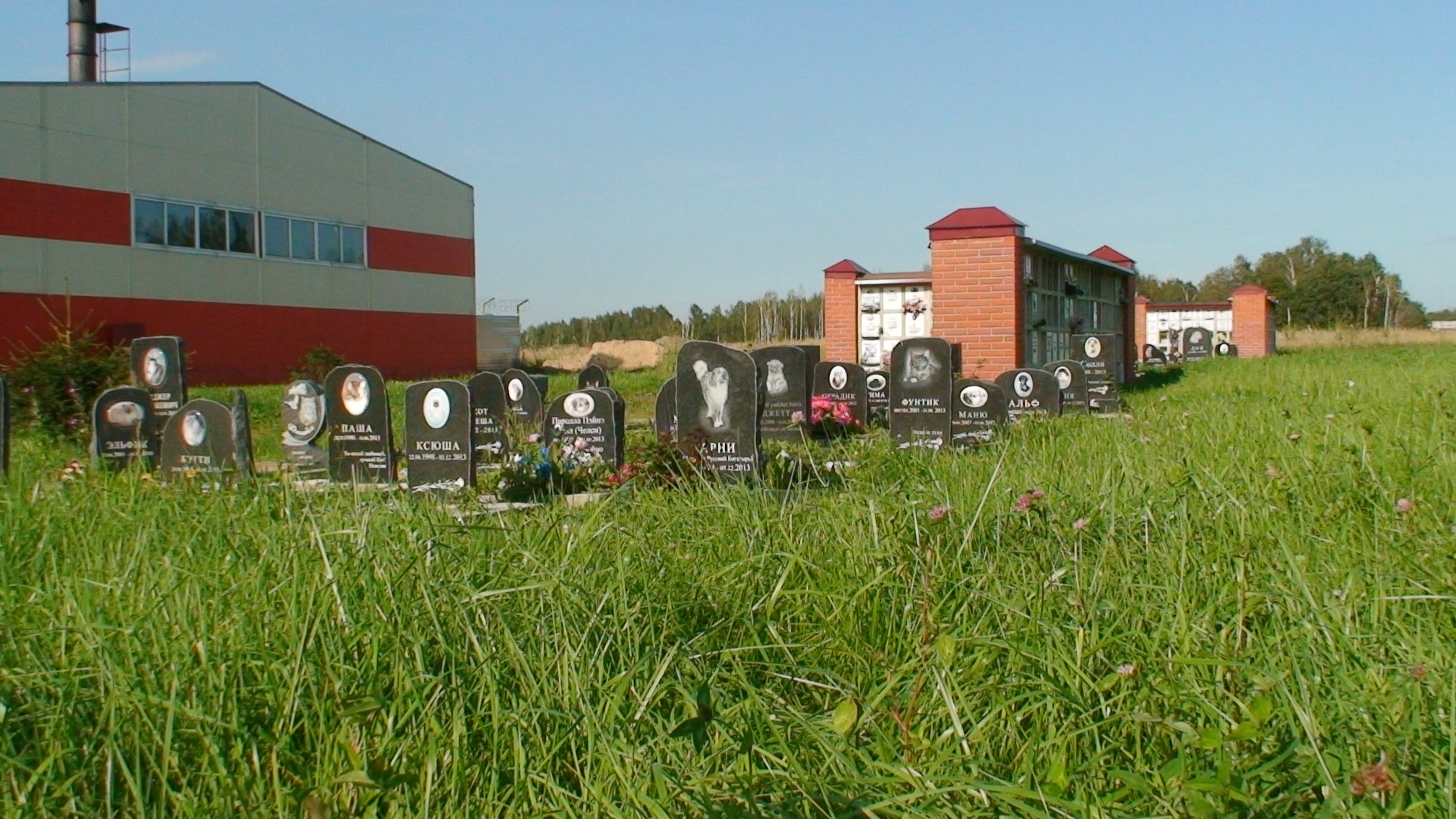 Официальное кладбище животных